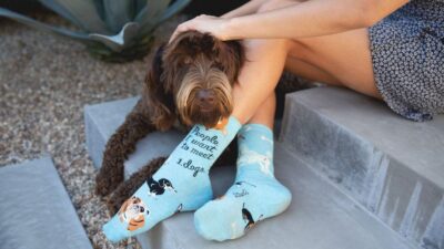 Why do dogs like socks
