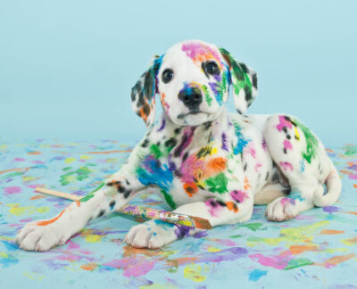 Is acrylic paint toxic to dogs?