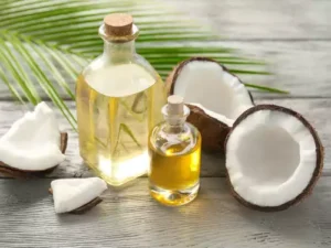 Is coconut oil better than olive oil for dogs?