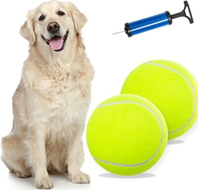 Is playing ball good for dogs?