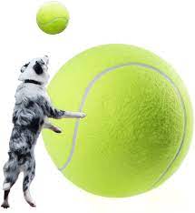 Is playing ball good for dogs?