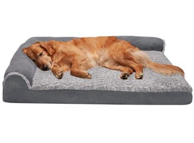 How to clean dog beds for large dogs
