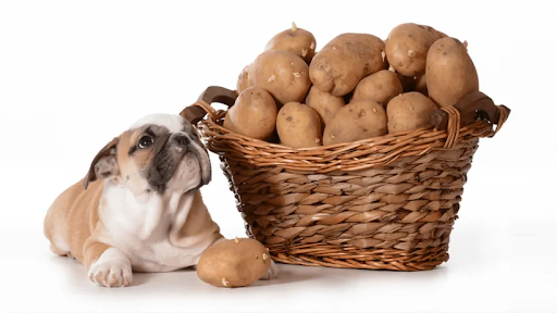 Are sweet potatoes good for dogs with liver disease?