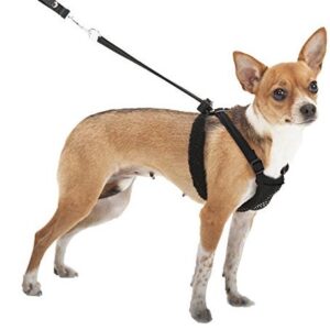 Are harnesses good for small dogs?