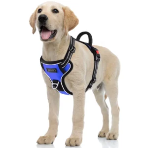 Are harnesses good for small dogs?