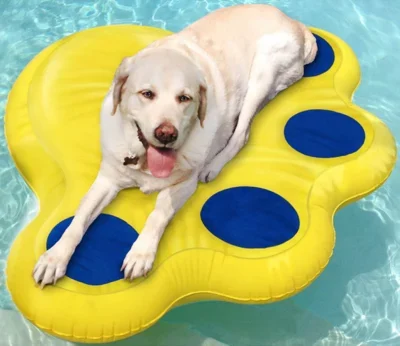floatation devices for dogs a good buy?