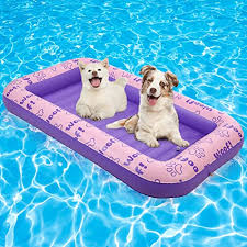 floatation devices for dogs a good buy?