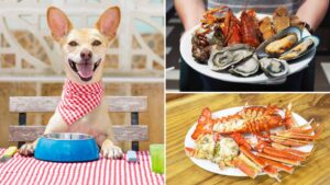 Can dogs eat lobster?