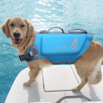 Are neoprene dog life jackets good?