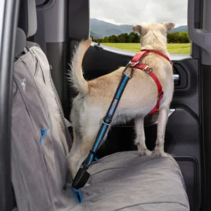 How does a dog seat belt harness work?
