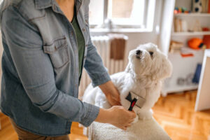 Are slicker brushes good for dogs?