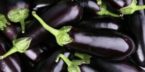 Can dogs eat Eggplant?