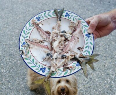 Can Dogs Eat Fish Bones?