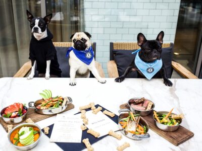 Best Dog Friendly Restaurants