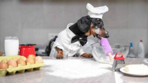 Can Dogs Have Flour?