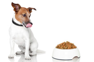 Can Dogs Eat Lentils?